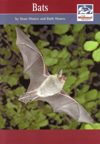 Stock image for Bats (Mammal Society Species Series) for sale by WorldofBooks