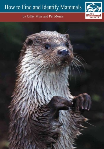 Stock image for How to Find and Identify Mammals for sale by Blackwell's