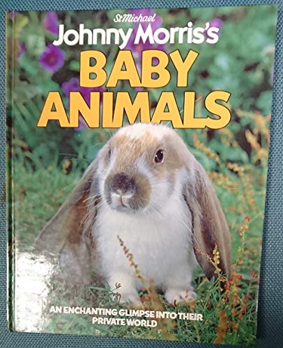 Beispielbild fr BABY ANIMALS zum Verkauf von WorldofBooks