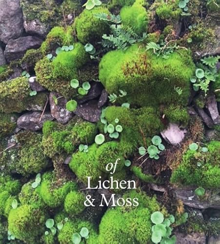 Stock image for of Lichen & Moss: Drawings by Kate Van Houten with Writings by Erica Van Horn for sale by THE SAINT BOOKSTORE