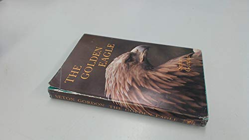 Stock image for Golden Eagle: King of Birds for sale by Book Deals