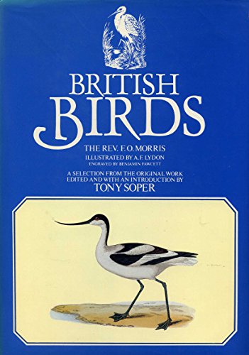 Beispielbild fr British Birds zum Verkauf von WorldofBooks