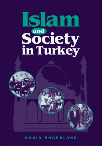 Beispielbild fr Islam and Society in Turkey zum Verkauf von Anybook.com