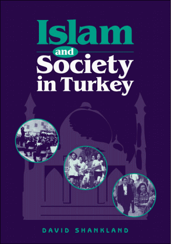 Stock image for Islam and Society in Turkey for sale by HPB-Red