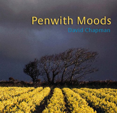 Imagen de archivo de Penwith Moods a la venta por WorldofBooks