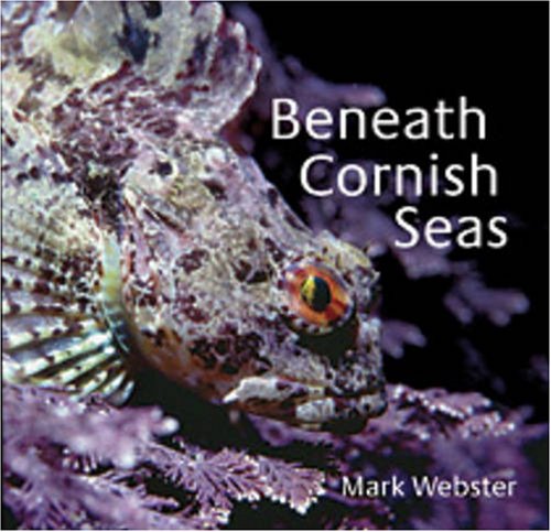 Stock image for Beneath Cornish Seas for sale by WorldofBooks