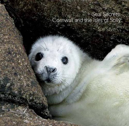 Beispielbild fr Seal Secrets: Cornwall and the Isles of Scilly (Pocket Cornwall) zum Verkauf von WorldofBooks