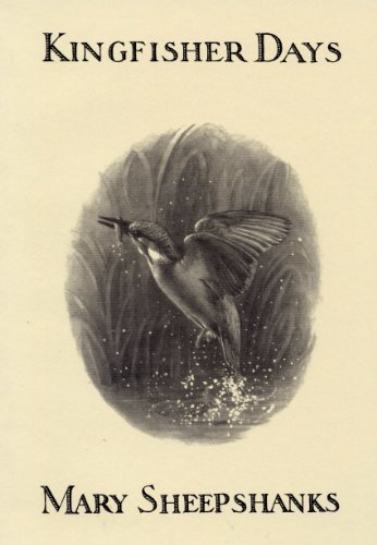 Imagen de archivo de Kingfisher Days a la venta por WorldofBooks