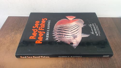 Stock image for Red Sea Reef Fishes for sale by Hafa Adai Books