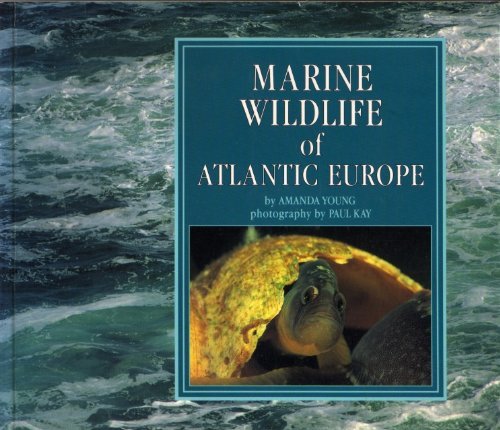 Stock image for Marine Wildlife of Atlantic Europe for sale by MusicMagpie