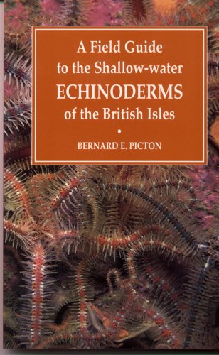 Imagen de archivo de A Field Guide to the Shallow-water Echinoderms of the British Isles a la venta por SN Books Ltd