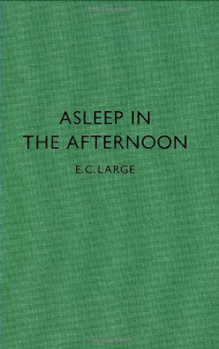 9780907259374: Asleep in the Afternoon: A Romance