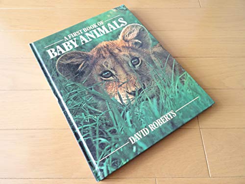 Imagen de archivo de A First Book of Baby Animals a la venta por Persephone's Books