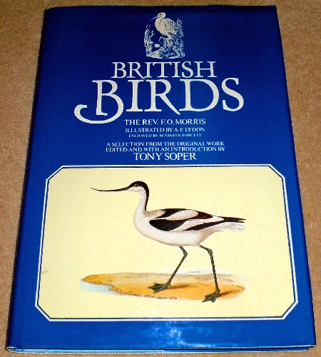 British Birds (9780907408741) by F. O. Morris; Benjamin Fawcett