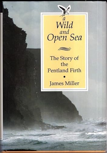Stock image for A Wild and Open Sea for sale by WorldofBooks