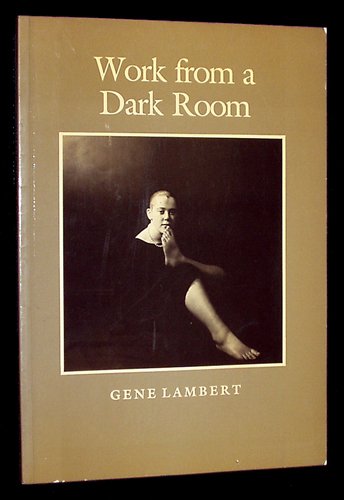 Stock image for Work from a Dark Room for sale by Kennys Bookshop and Art Galleries Ltd.