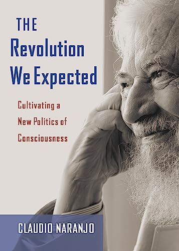 Beispielbild fr The Revolution We Expected: Cultivating a New Politics of Consciousness zum Verkauf von Monster Bookshop