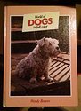 9780907853299: World of Dogs in Full Colour