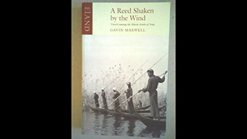 Stock image for A Reed Shaken by the Wind: Travels Among the Marsh Arabs of Iraq for sale by WorldofBooks