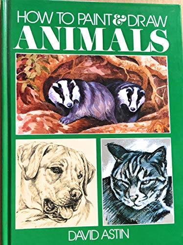 Imagen de archivo de How to paint & draw animals a la venta por WorldofBooks