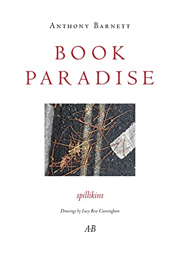 Beispielbild fr Book Paradise: Spillikins zum Verkauf von Revaluation Books