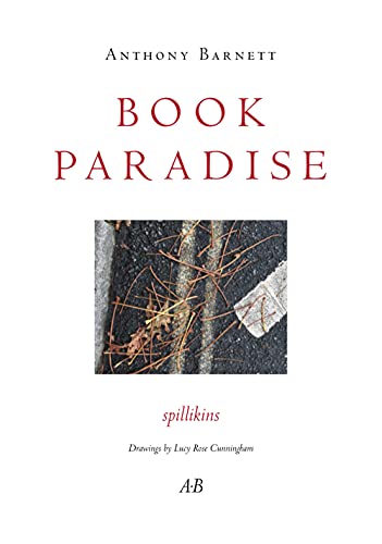 Stock image for Book Paradise: Spillikins for sale by Revaluation Books