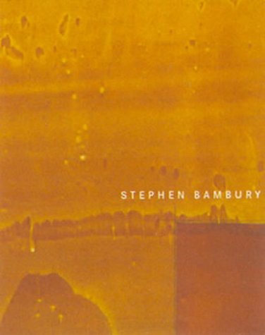 Stephen Bambury (9780908802562) by Wystan Curnow