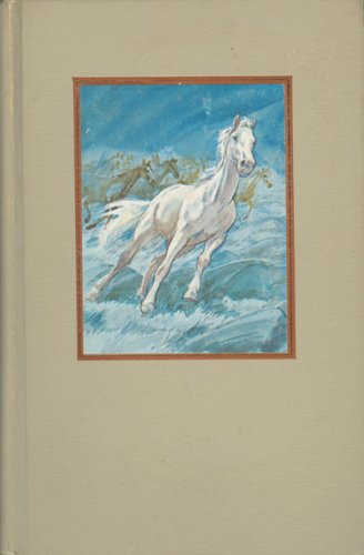 Silver Brumby + Silver Brumby's Daughter (9780909134433) by Elyne Mitchell