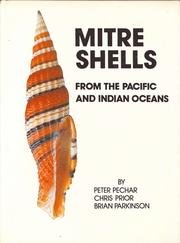 Mitre Shells: From the Pacific and Indian Oceans.