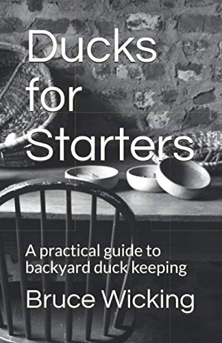 9780909431181: Ducks for Starters: A practical guide to backyard duck keeping