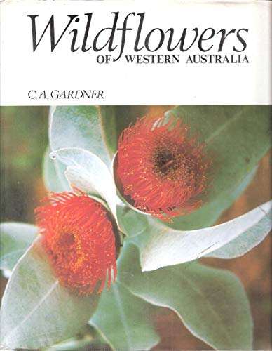 Beispielbild fr WILDFLOWERS OF WESTERN AUSTRALIA. zum Verkauf von Cambridge Rare Books