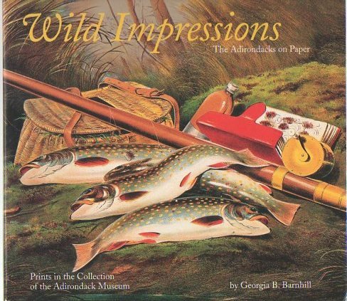 Wild Impressions: The Adirondacks on Paper (9780910020459) by Barnhill, Georgia Brady