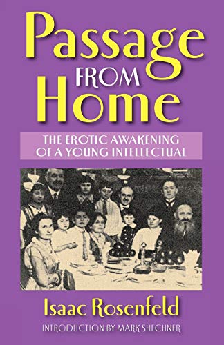 Imagen de archivo de Passage From Home (Masterworks of Modern Jewish Writing Series) a la venta por SecondSale