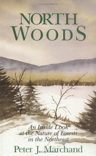 Stock image for North Woods: An Inside Look at the Nature of Forests in the Northeast for sale by Books Unplugged