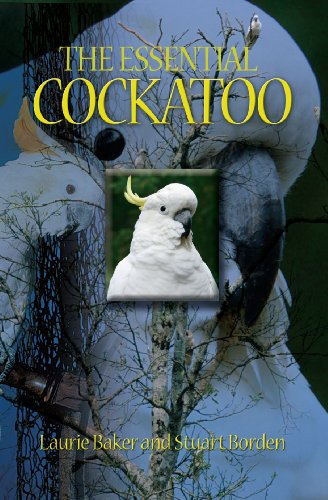 Stock image for The Essential Cockatoo for sale by SecondSale