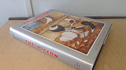 Stock image for The Pigeon for sale by Books Unplugged