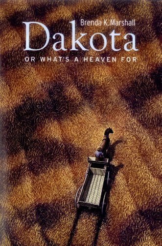 Stock image for Dakota, or What's a Heaven For for sale by Better World Books