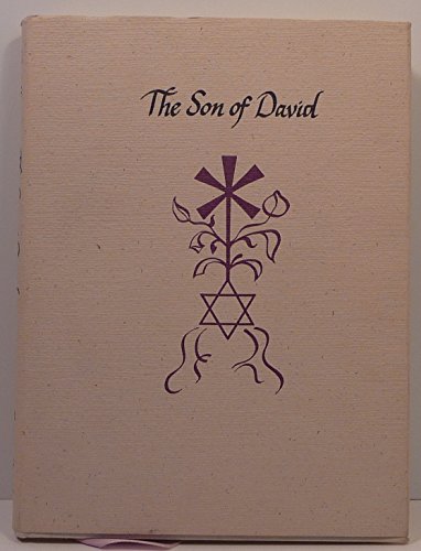 Imagen de archivo de The Son of David: A Meditation on the Agency of God a la venta por Lowry's Books