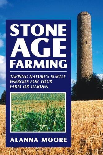 Imagen de archivo de Stone Age Farming a la venta por Half Price Books Inc.