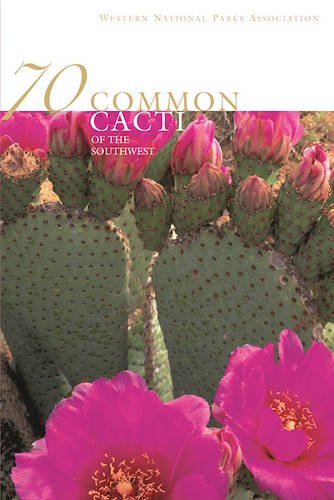 9780911408829: 70 Common Cacti of the Southwest