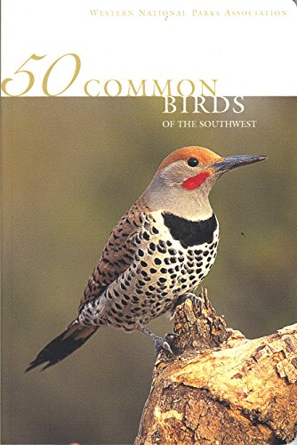 Stock image for 50 Common Birds of the Southwest for sale by Bearly Read Books