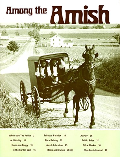 Beispielbild fr Among the Amish zum Verkauf von Wonder Book