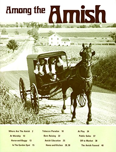 Imagen de archivo de Among the Amish a la venta por Keeper of the Page