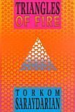 Beispielbild fr Triangles of Fire zum Verkauf von WorldofBooks