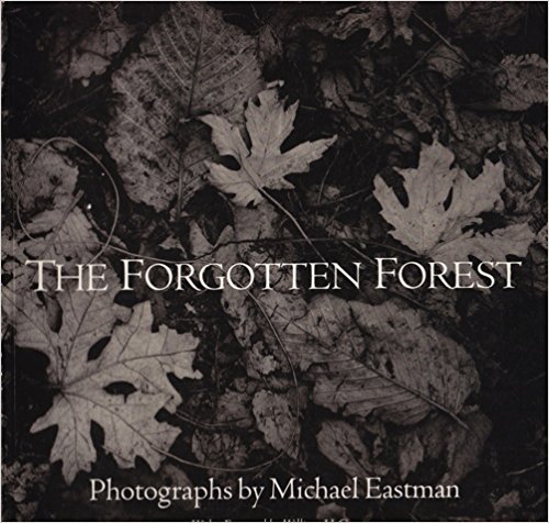 Stock image for The forgotten forest for sale by HPB-Red