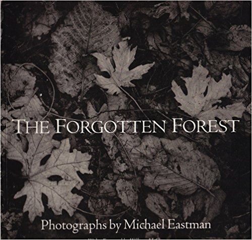 9780911892147: The forgotten forest