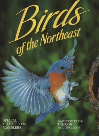 Stock image for Birds of the Northeast: Washington, D.C. through New England for sale by Hedgehog's Whimsey BOOKS etc.