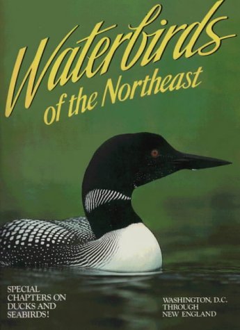 9780911977097: Waterbirds of the Northeast: Washington, D.C. Through New England