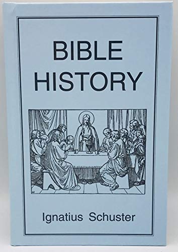 Imagen de archivo de Bible History a la venta por First Choice Books