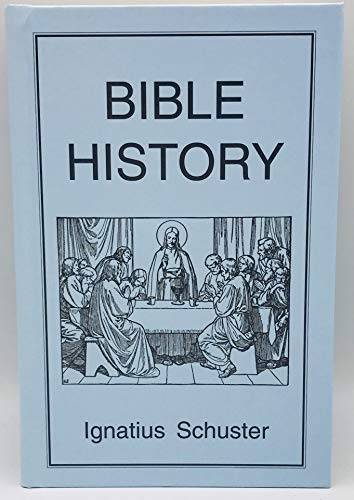 Stock image for Bible History for sale by Goodwill Books